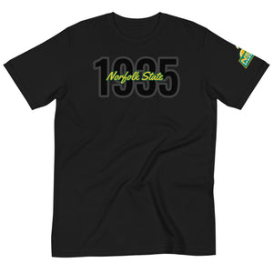 Norfolk State BxB SS